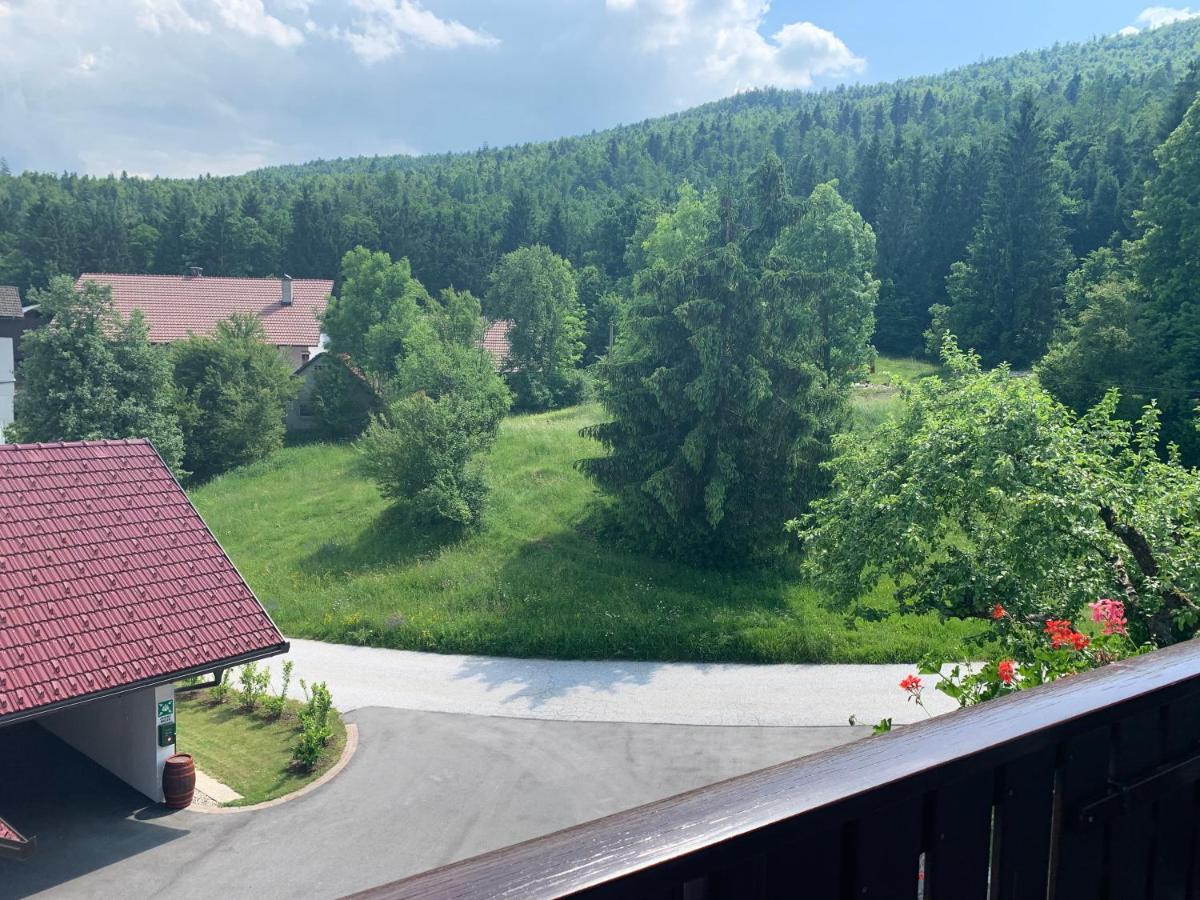 Zigon Bed & Breakfast Logatec Esterno foto