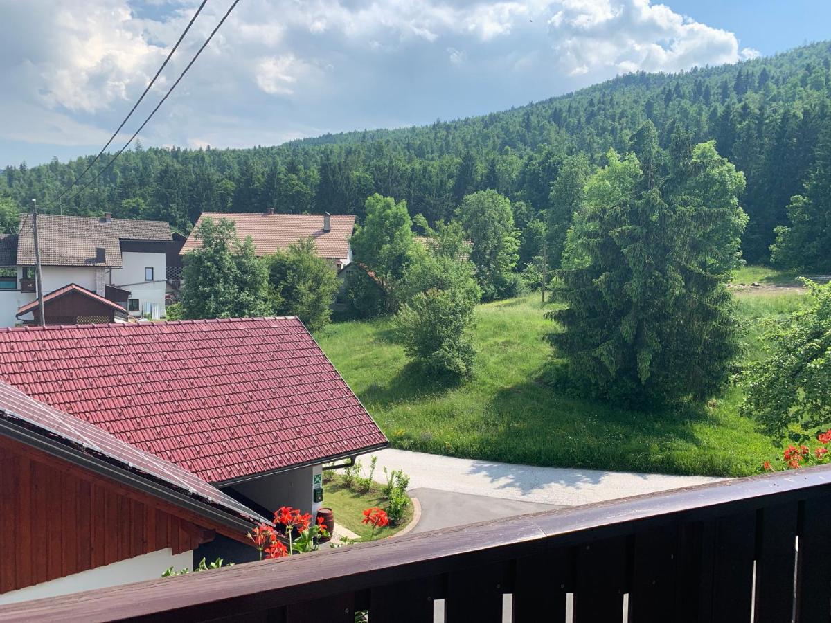 Zigon Bed & Breakfast Logatec Esterno foto