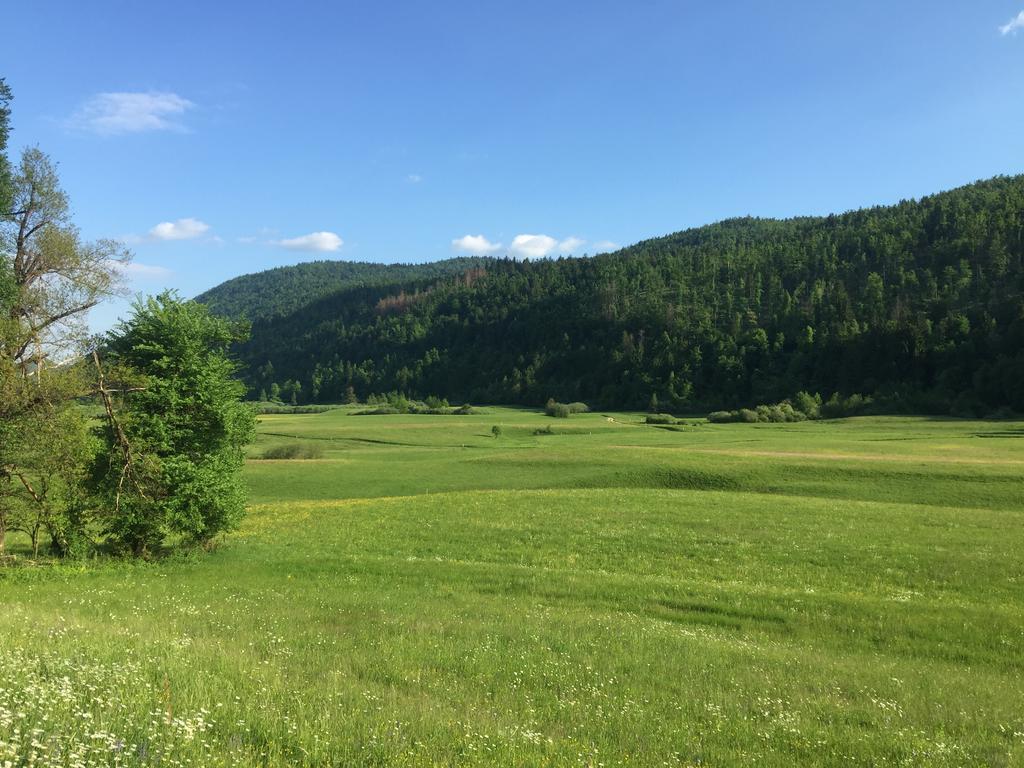 Zigon Bed & Breakfast Logatec Esterno foto
