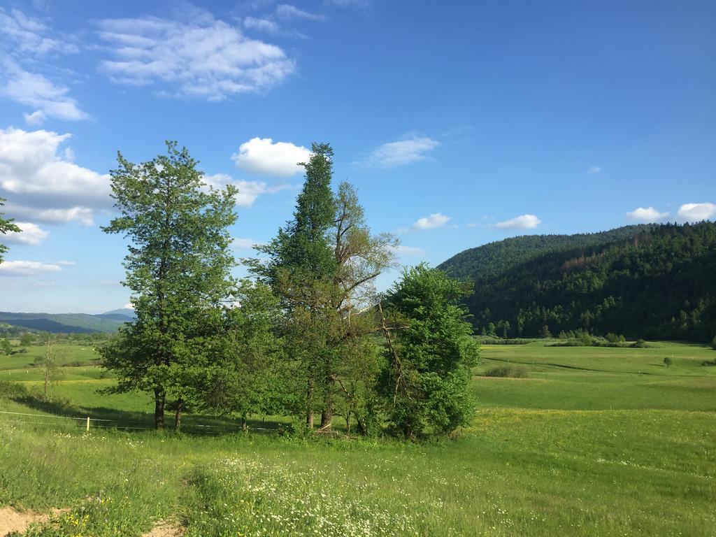 Zigon Bed & Breakfast Logatec Esterno foto